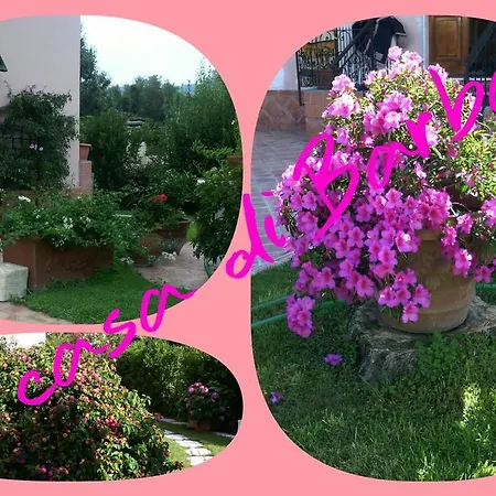 La Casa Di Barbara * 萨尔扎纳